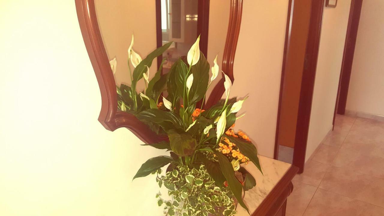 Apartamento A Canteira O Grove Ngoại thất bức ảnh
